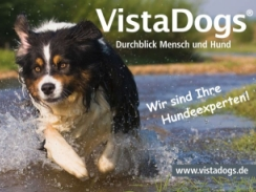 Webinar: Einzelberatung für Hundehalter deren Hund ein Problemverhalten zeigt