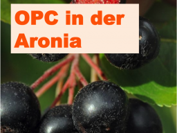 Webinar: OPC in der Aronia - Stärkstes Antioxidanz aus der Natur