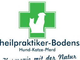 Akupunktur Teil II