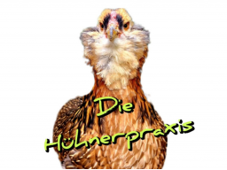 AUSBILDUNG GEFLÜGELERNÄHRUNGSBERATER (HÜHNER) - BLOCK 11