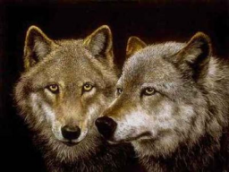 Webinar: Welchen Wolf fütterst Du?  30min Webinar + ca 60 min pers. online Einzel-Coaching