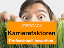 Webinar: JOBCOACH - Karrierefaktoren