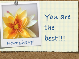 Webinar: Never give up! Gib niemals dich bitte auf!