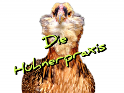 Webinar: FETTLEIBIGKEIT BEI LUXUSHÜHNERN - Mein bestes Konzept