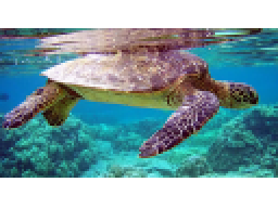 Webinar: Trendfolgesysteme - die Turtles Strategie