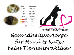 Webinar: Gesundheitsvorsorge für Hund & Katze  beim Tierheilpraktiker