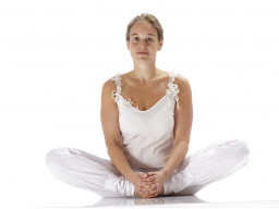Webinar: Krankenkassenanerkennung für YogalehrerInnen