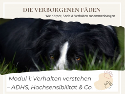 Die verborgenen Fäden  Wie Körper, Seele & Verhalten zusammenhängen