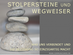 Webinar: Orientierungswebinar zum Workshop Stolperstein & Wegweiser