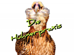 ERSTE HILFE FÜR HÜHNER - TEIL 2