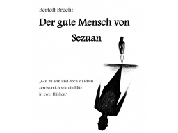 Webinar: Literaturhilfe zu Berthold Brecht "Der gute Mensch von Sezuan" (Deutsch, Literatur, Werke)