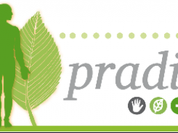 Webinar: PRADIX - Einführung in die Funktionsweise der Online-Plattform