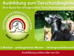 Webinar: Ausbildung zum Tierschutzbegleiter w/m
