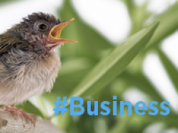 Webinar: Twitterkurs BUSINESS