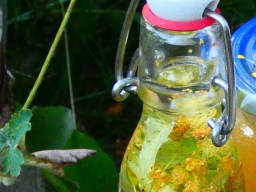 Kräuterschnaps/-likör ansetzen