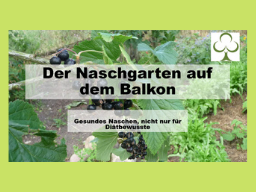 Webinar: Der Naschgarten auf dem Balkon