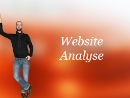 Webinar: Website-Analyse