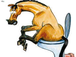 Webinar: Kotwasser bei Pferden