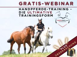 Gratis Webinar zum Handpferde-Training
