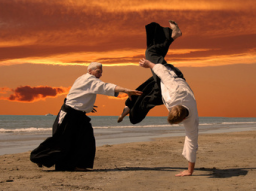 Webinar: Verbales Aikido - Die gewaltfreie  Dialogkunst
