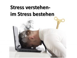Webinar: Stress verstehen - Im Stress bestehen