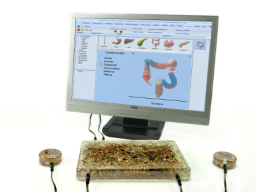 Webinar: GSD-Radionik(R) Bioresonanz