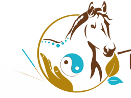 Webinar: Block 4 - Osteopunktur für Pferde
