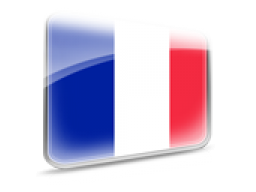 Webinar: Wiederholung Französisch Lektion 2