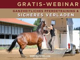 Webinar: GRATIS Webinar zum ganzheitlichen Pferdetraining & sicheren Verladen