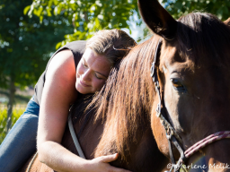 Webinar: Emotional Touch - Pferde(seelen)flüstern