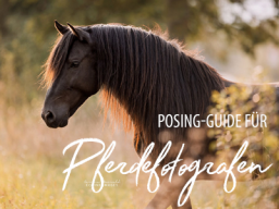 Webinar: Posing-Guide für Pferdefotografen
