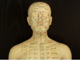 Webinar: The concept of Shen in Chinese medicine psychology