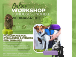 Webinar: LIVE WORKSHOP: Hundemassage, Gymnastik & Fitness für zuhause | PhysioDog