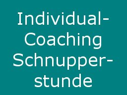 Webinar: Individual-Online-Coaching: "Schnupperstunde"