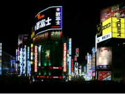 Webinar: Basis Wissen im Umgang mit Japanern