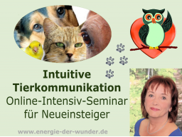 Webinar: Intuitive Tierkommunikation -  für NEUEINSTEIGER - 12 Wochen Online-Intensiv-Seminar