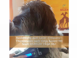 Webinar: Ausbildung zum Laser- und Laser-Frequenz-Therapeut nach Vinja Bauer™ Schwerpunkt Hund
