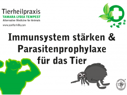 Webinar: Immunsystem und Parasitenprophylaxe für das Tier