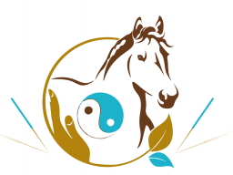 Webinar: Block 3 - TCVM für Pferde - Advanced Praktiker