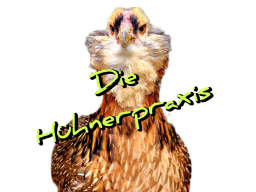 Webinar: Homöopathie für Hühner