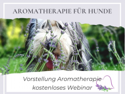 Aromatherapie für Hunde: Vorstellung  kostenloses Webinar