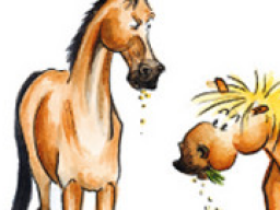 Webinar: Stilles Leid - Magenerkrankungen beim Pferd