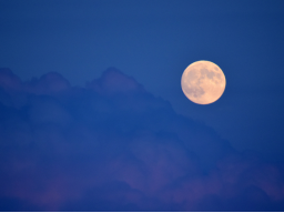 :: Heilbehandlung zum Vollmond ::