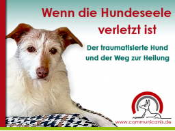 Webinar: Der traumatisierte Hund und der Weg zur Heilung.