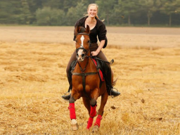 Webinar: Angstfrei reiten - psychologische Grundlagen und Bewältigungsstrategien bei Angst