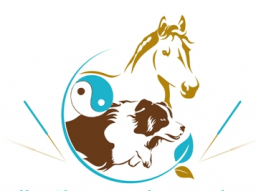 Webinar: Block 5 - Traditionelle Chinesische Medizin für Tiere