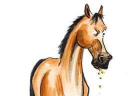 Webinar: Leberprobleme beim Pferd - erkennen und sinnvoll entgiften