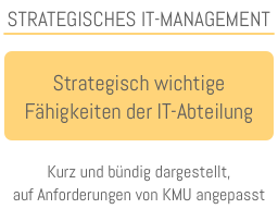 Webinar: Ihr unternehmensinternes IT-Team: Welches ist die strategisch sinnvolle Positionierung, welche Fähigkeiten sollte sie haben?
