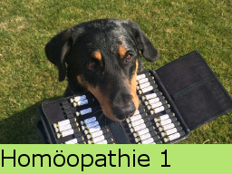 Webinar: Homöopathie 1 (Durchfall-Arzneien)