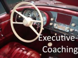 Webinar: Executive-Coaching Online